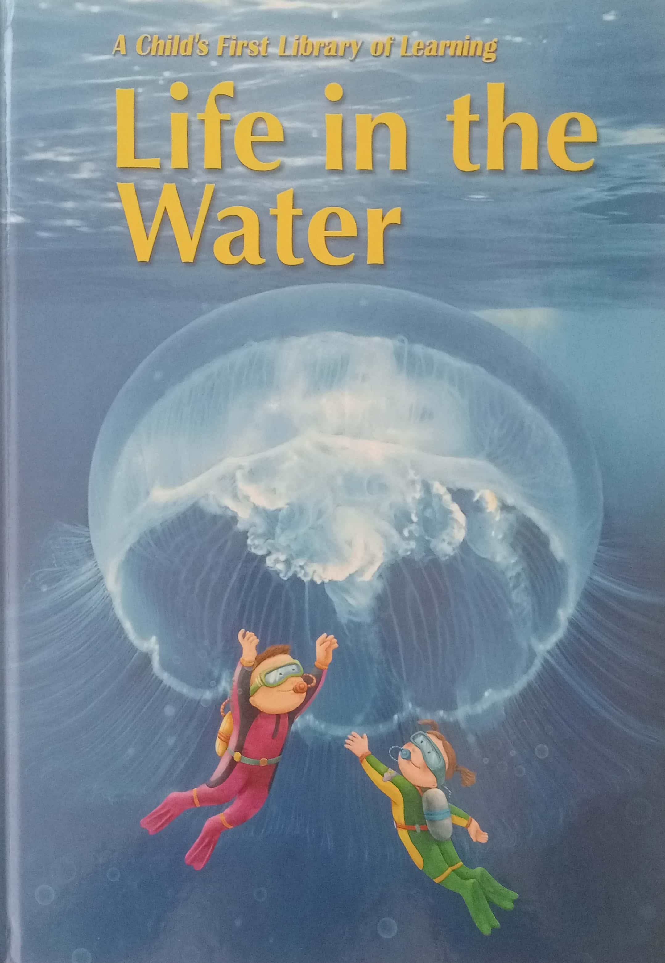 Wait till image loads